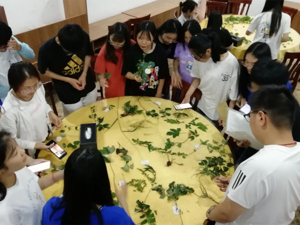 风采展示